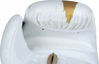 Picture of Boxing Gloves Power Ink White/Gold