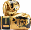 Picture of Boxing Gloves Power Ink Black/Gold